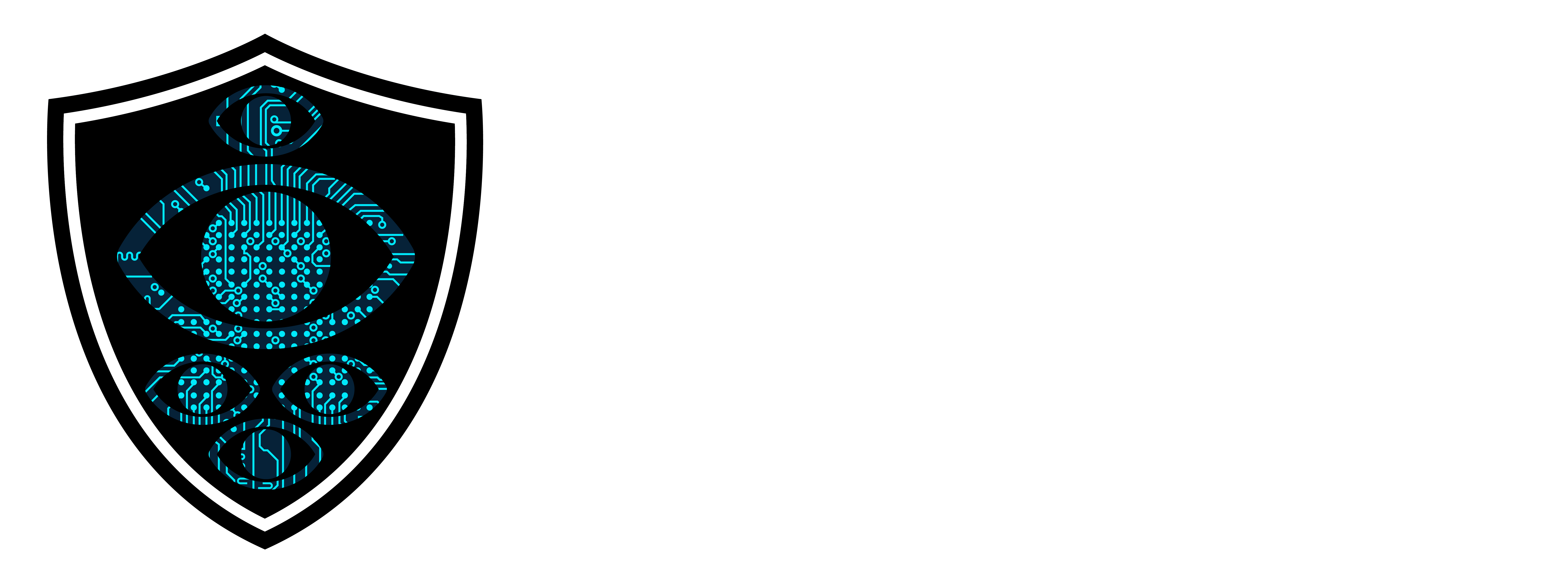 Five Eyes Logo